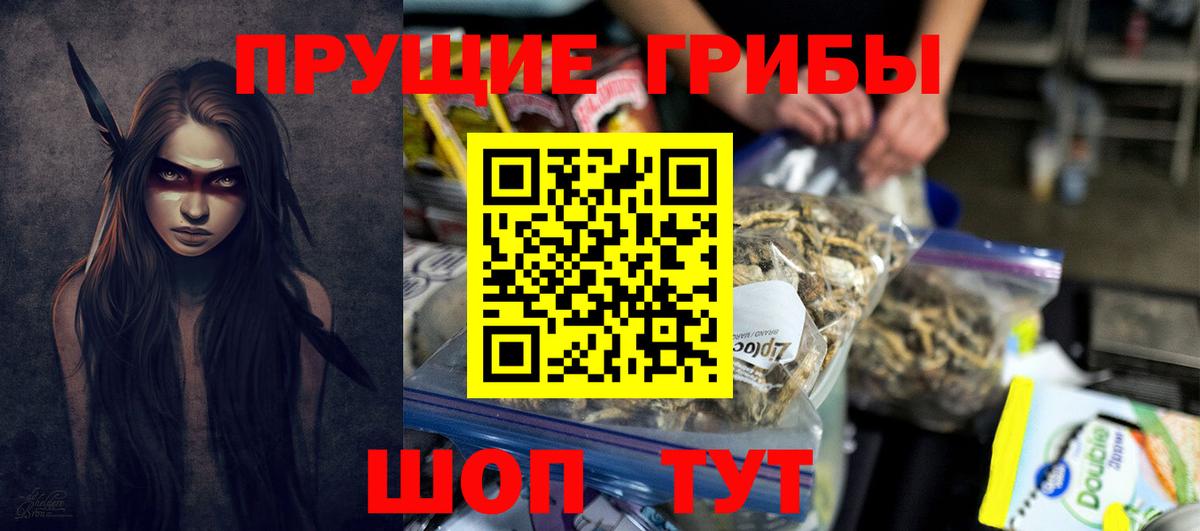 Галлюциногенные грибы ЛСД  Вход с VPN  купить наркотик  Ачинск  Псилоцибиновые грибы Psilocybine cubensis 