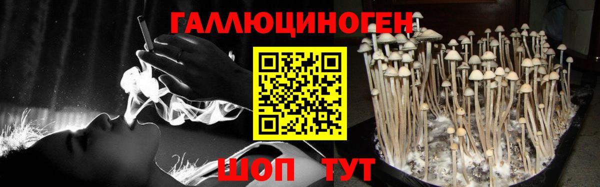 Галлюциногенные грибы Magic Shrooms Ачинск