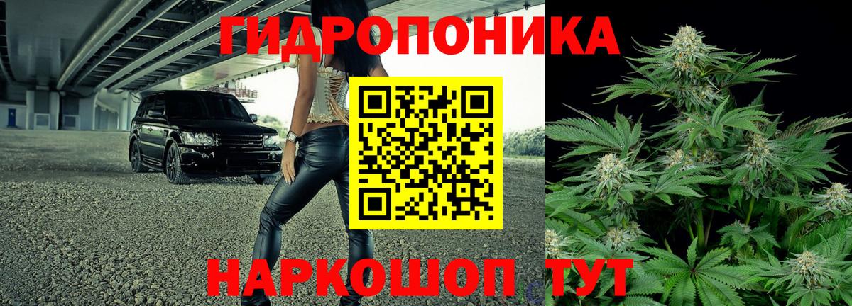 Бошки Шишки планчик Ачинск